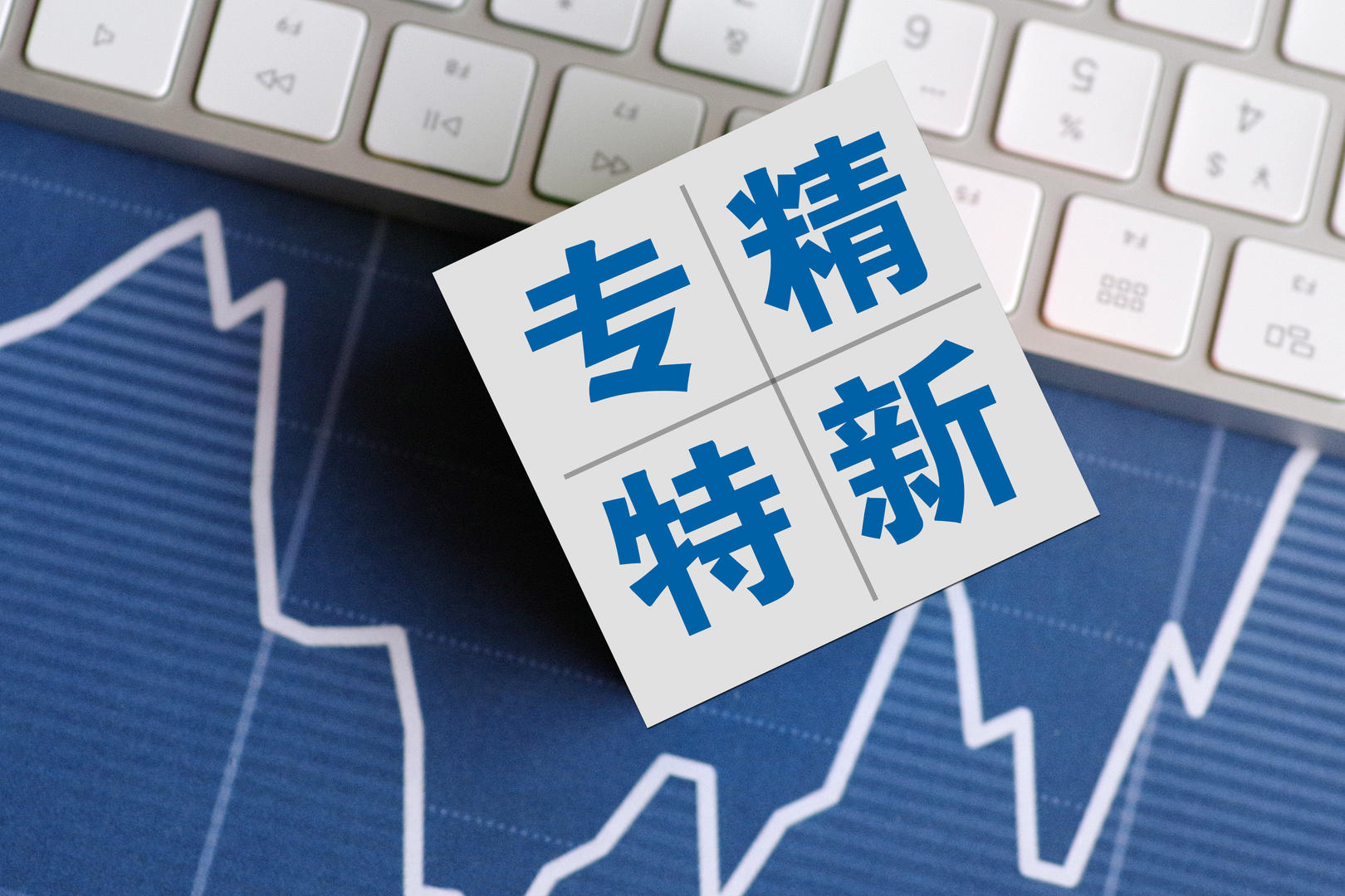 00专精特新.jpg