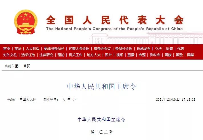 代表.jpg